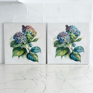 Coloured Hydrangea High Gloss Painting by Kelly Lane