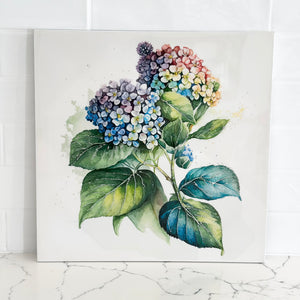 Coloured Hydrangea High Gloss Painting by Kelly Lane