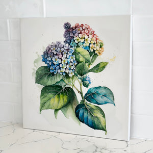 Coloured Hydrangea High Gloss Painting by Kelly Lane