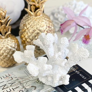 Vivid White Coral Decor 19x16